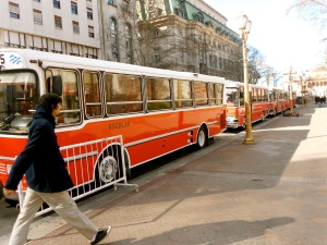 School busses in Buenos Aires. "Escolares"